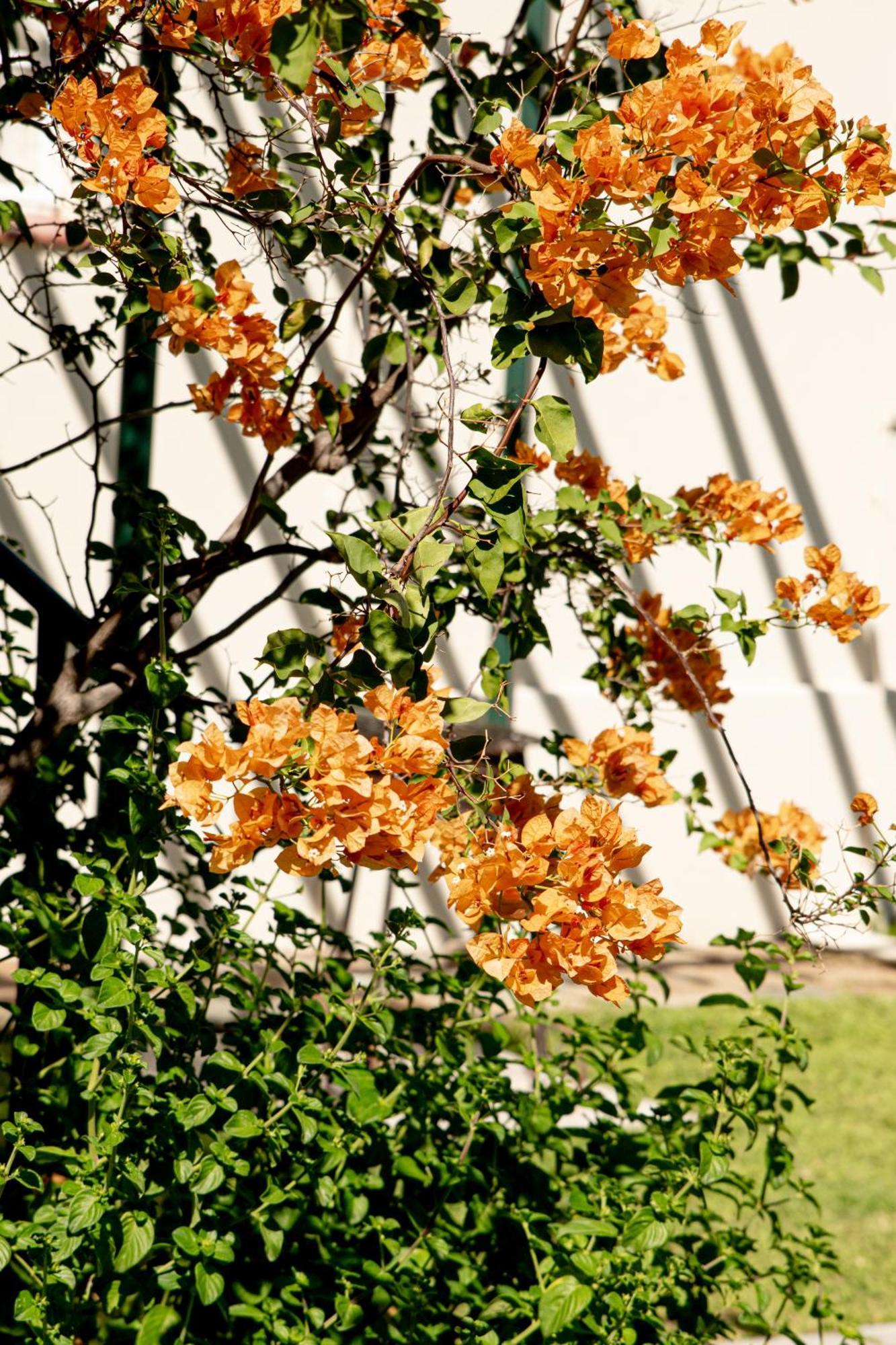 4 Rothman Street B&B Graaff-Reinet Buitenkant foto